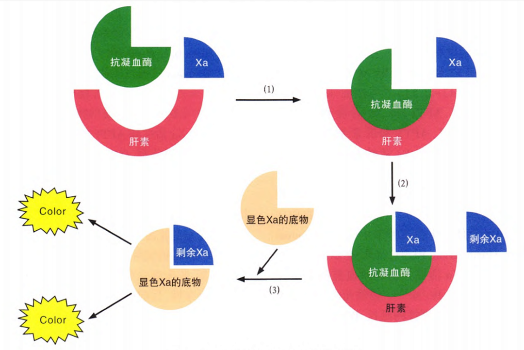 國產抗Xa質量如何？多中心臨床研究來告訴你！